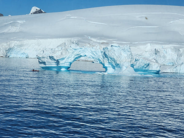 Kayaking with cookie in Antartica