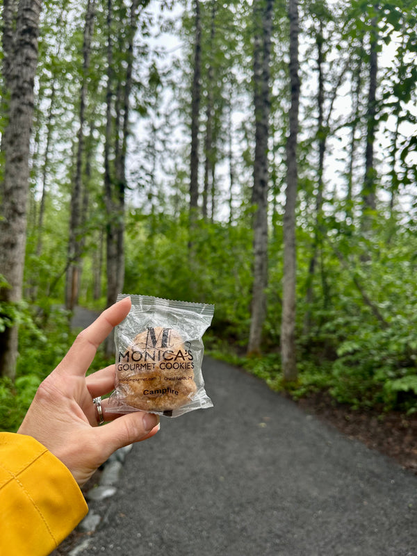 Campfire in the woods of Alaska