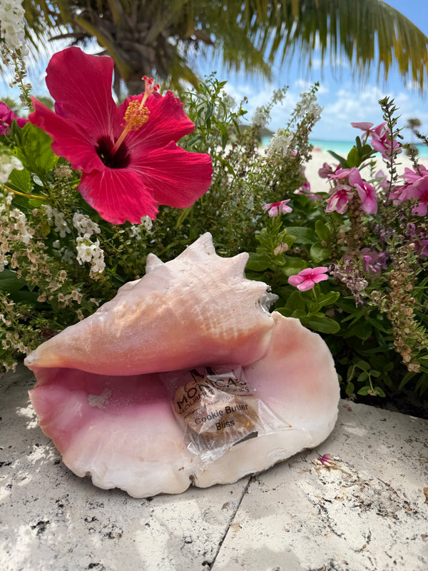 Cookie Butter Bliss in a seashell.