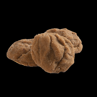 Sugared Gingerbread | Monica's Gourmet Cookies