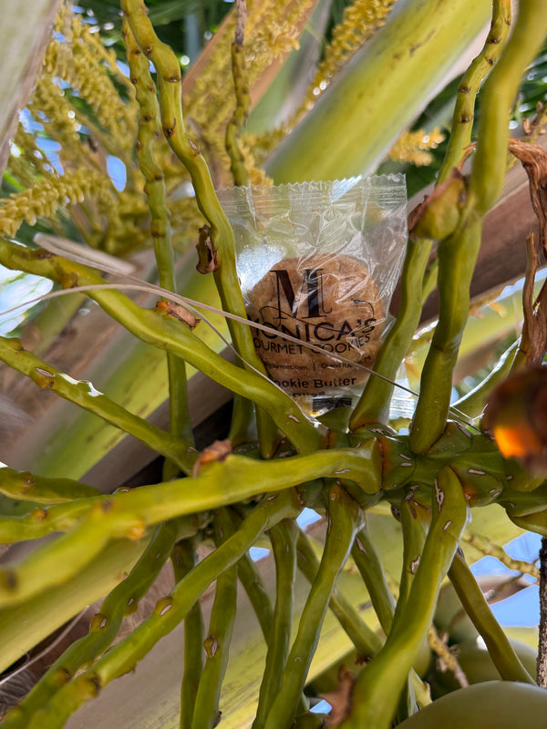 Cookie Butter Bliss in the Bahamas